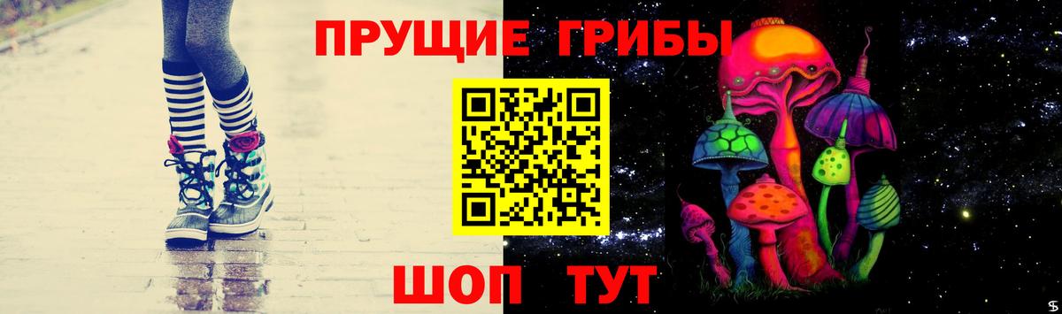 Каменск-Уральский  Псилоцибиновые грибы Cubensis  Вход с VPN 